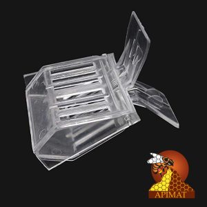Pince plastique transparente pour la capture de la reine